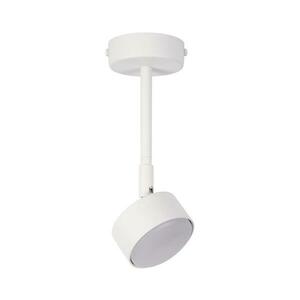 Csillár rúdon NEMO 1xGX53/12W/230V 24 cm fehér kép
