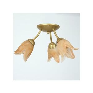 Felületre szerelhető csillár ALBA 3xE14/15W/230V kép