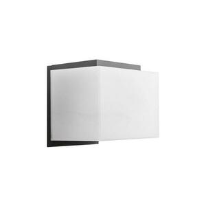 Kültéri fali lámpa FEDE 1xE27/28W/230V IP44 antracit kép