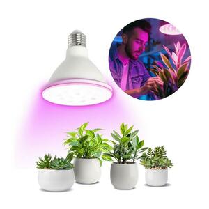 Brilagi LED Növénynevelő izzó VITABLOOM E27/9W/230V 1200K fehér kép
