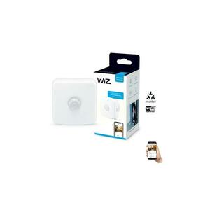 WiZ WiZ kép