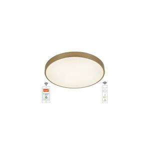 LED Dimmelhető mennyezeti lámpa LED/48W/230V 2700 kép
