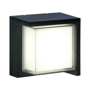 LED Kültéri fali lámpa ESSEN LED/12W/230V IP44 fekete kép