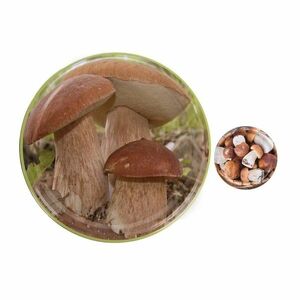 Orion Gombák 10 db-os csavaros fedél szett, 8, 5 cm kép