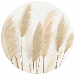 Kör alakú fotótapéta Pampas 125 x 125 cm, 2részből álló kép