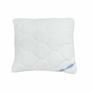 Stanex Thermo párna, 40 x 40 cm kép