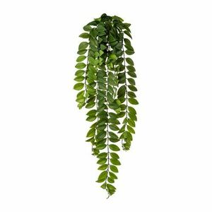 Columnea kúszónövény, 85 cm, zöld, műnövény kép