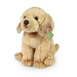 Rappa Plüss ülő labrador, 27 cm ECO-FRIENDLY kép