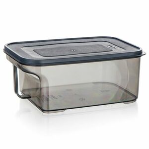 Bankett Tárolóedény fogantyúval ZOYA 2, 6 l, füst, 2, 6 l kép