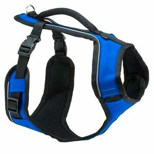 PetSafe EasySport hám EasySport kék L kép
