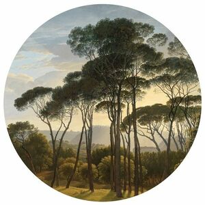 Kör alakú fotó tapéta Régi fák 125 x 125 cm, 2rész kép