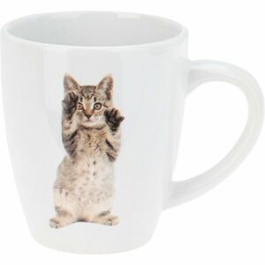 Cats kőagyag bögre készlet 3 db, 220 ml kép