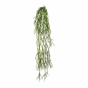 Műnövény Rhipsalis lógó, 61 cm, zöld, 61 cm, zöld kép