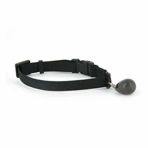 PetSafe® Staywell mágneses nyakörvkulcs kép