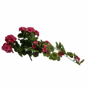 Mesterséges túlnyúlás muskátli sötét rózsaszín, 68cm kép