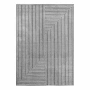 Szürke kültéri-beltéri szőnyeg 160x230 cm Nova 1202 – Ayyildiz Carpets kép