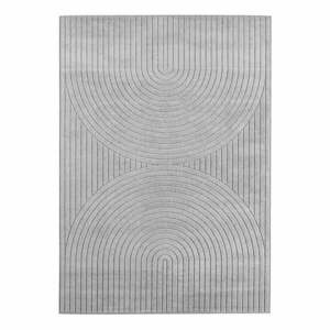 Szürke kültéri-beltéri szőnyeg 200x290 cm Nova 1201 – Ayyildiz Carpets kép