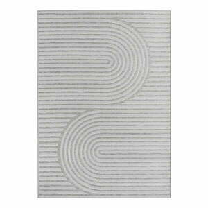 Szürke kültéri-beltéri szőnyeg 160x230 cm Desert 1301 – Ayyildiz Carpets kép
