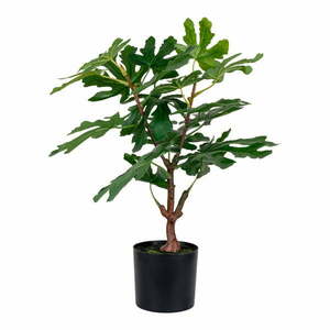 Műnövény (magasság 60 cm) Fig – House Nordic kép