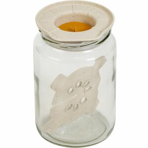 Plastia Fermentációs készlet - elefántcsontkávézaccal, mézes kép