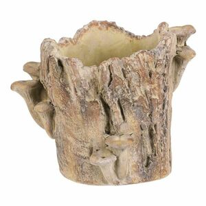 Beton burkolat - tusk with mushrooms, 20 x 18 x 18cm kép