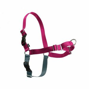 PetSafe EasyWalk hegyes póráz, málna kép