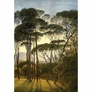 Fototapéta Old Trees 180 x 255 cm, 2 részes kép