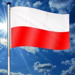 FLAGMASTER® Zászló rúddal Lengyel PLN 650 cm kép
