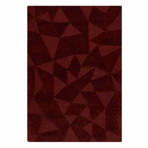 Borvörös kézi szövésű gyapjú szőnyeg 120x170 cm Shard Red – Flair Rugs kép