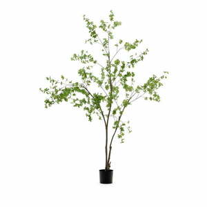 Műnövény (magasság 214 cm) Enkianthus – Kave Home kép
