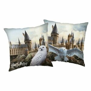 Gyerek párna 40x40 cm Harry Potter "Hedwig" – Jerry Fabrics kép