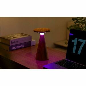 Sötét natúr színű LED asztali lámpa fa búrával (magasság 21 cm) Sylva – Gingko kép
