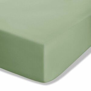 Zöld gumis perkál lepedő 135x190 cm Easy Iron Percale – Catherine Lansfield kép