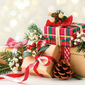 Szalvéta szett 20 db-os 33x33 cm Noel – Homéa kép