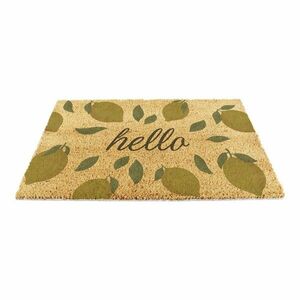 Kókuszrost lábtörlő 40x60 cm Hello Lemons – Artsy Doormats kép