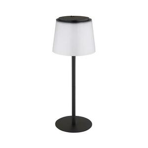 Globo Globo 58462F kép