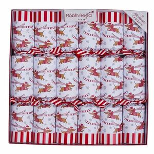 Karácsonyi cracker szett 6 db-os Racing Sausage Dog – Robin Reed kép