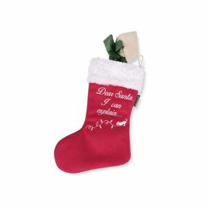 Játék kutyáknak Socks with surprise - P.L.A.Y. kép