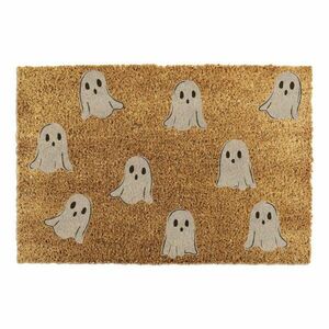 Kókuszrost lábtörlő 40x60 cm Ghost – Artsy Doormats kép