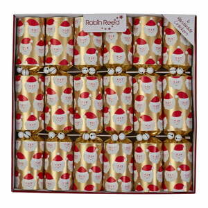 Karácsonyi cracker szett 6 db-os Racing Santa – Robin Reed kép