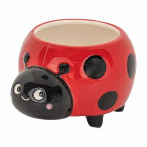 Kerámia kaspó Ladybird Mini – Sass & Belle kép