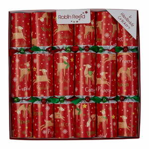 Karácsonyi cracker szett 6 db-os Rudolph & Friends – Robin Reed kép