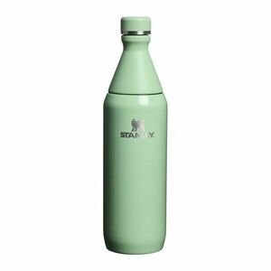 Zsályaszínű rozsdamentes acél termopalack 600 ml All Day Slim Bottle Pistachio Gloss – Stanley kép