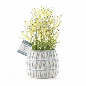 Virágok és virágtartók kép