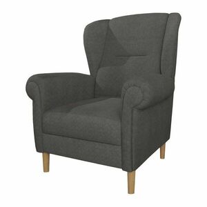 Sötétszürke füles fotel Swan – Ropez kép