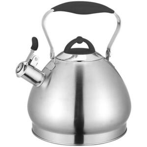 Vízforraló 4, 3 l acél RWK191 kép