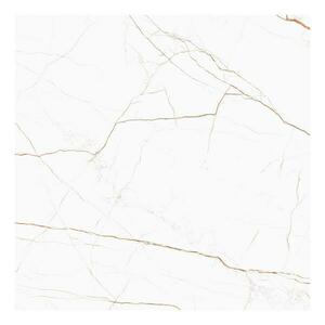 Csempe Dicta White Mat Carving 60/60 kép