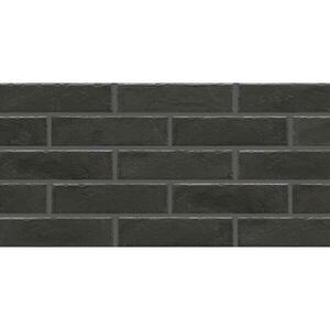 Csempe FOGGIA NERO 245/65/8 kép