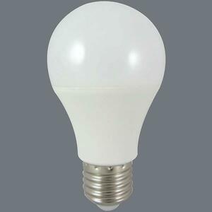 Izzó LED EM 18W A65 E27 6500K kép
