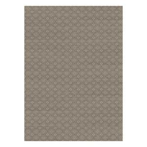 Szőnyeg Terazza 0, 8/2, 5 21222 barna kép